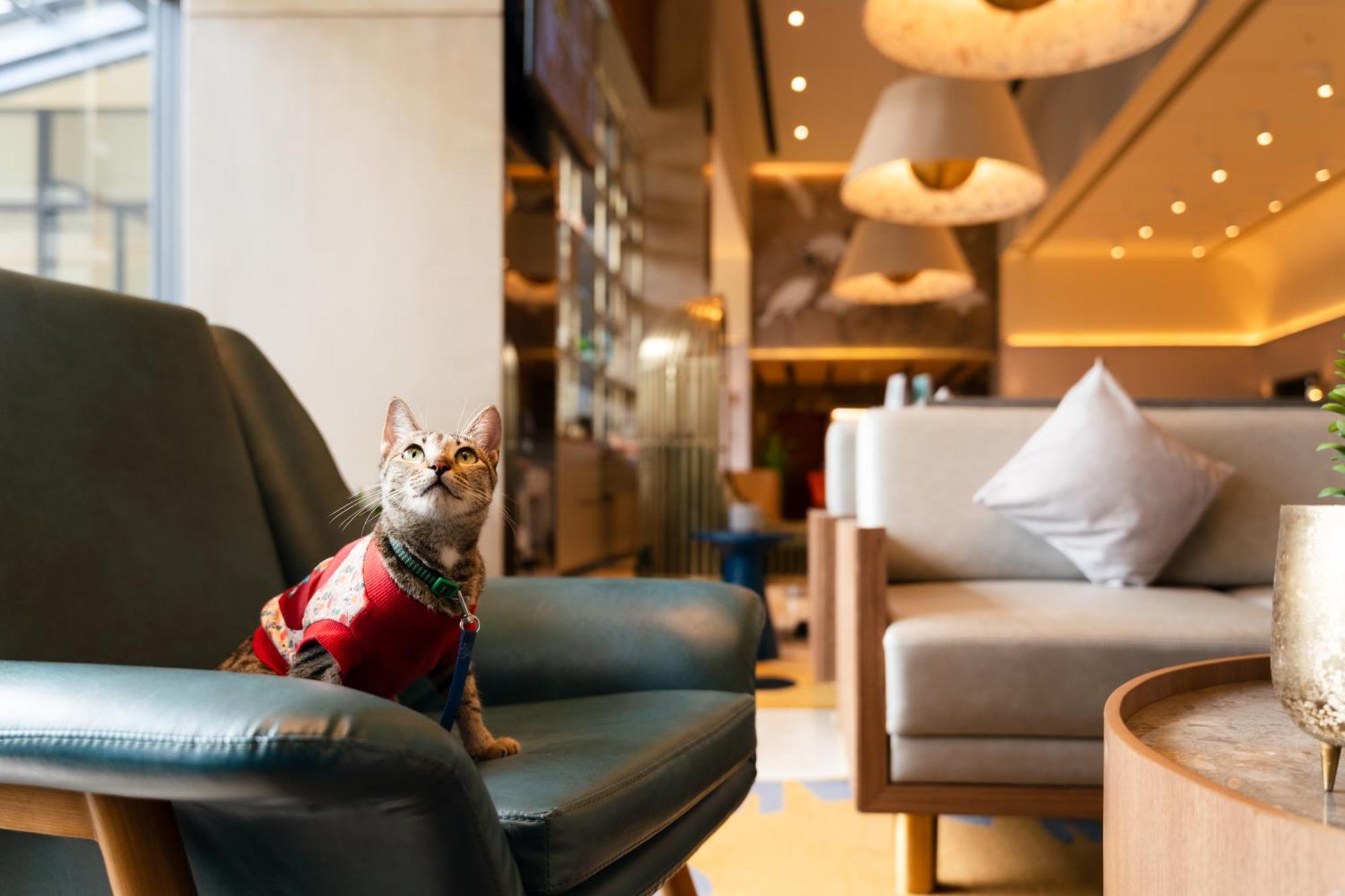 Отель Ibis Styles Mysuru Экстерьер фото